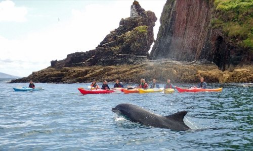 Picture Of Kayaking in Dingle