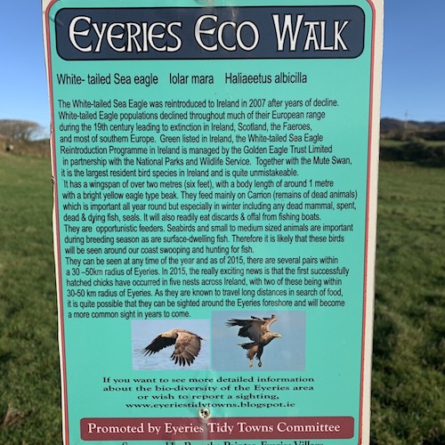 Picture Of Eyeries Eco walk